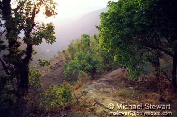 Near Chainpur